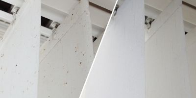 Vorher-Nachher-Vergleich Insektenexkremente auf Lamelle